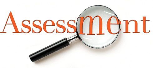 magnifying glass assessment icon