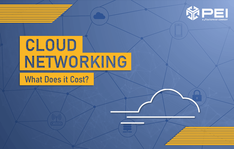 Cloud Networking: What Does it Cost?